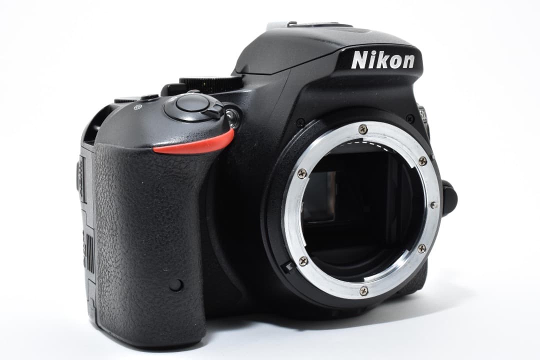 ★ショット数: 13090回★ NIKON D5500 ボディ #1116