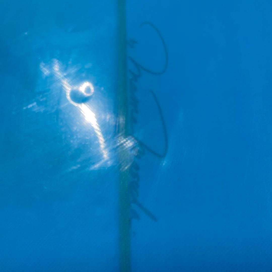 anelaサーフボードロングマメ増田シェイプ 9.4フィート284.5cm