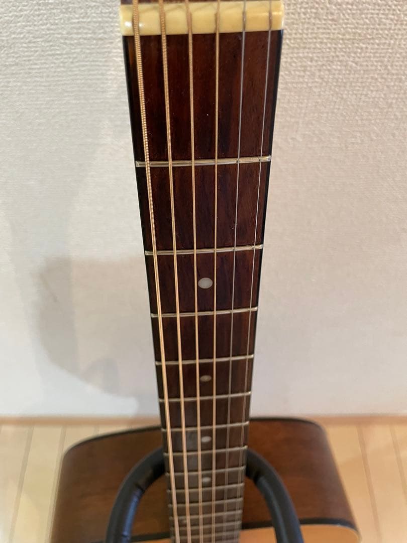 Takamine アコースティックギター