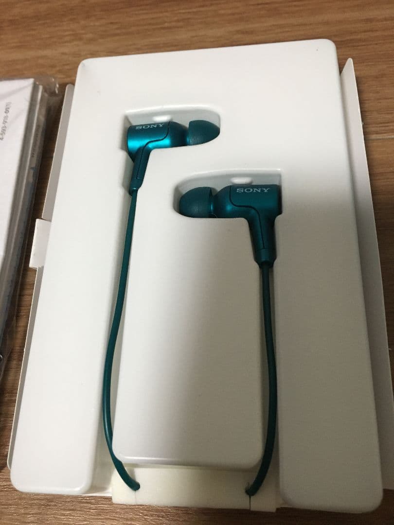 初音ミク10周年記念 初音ミクモデル WALKMAN SONY NW-A35HN