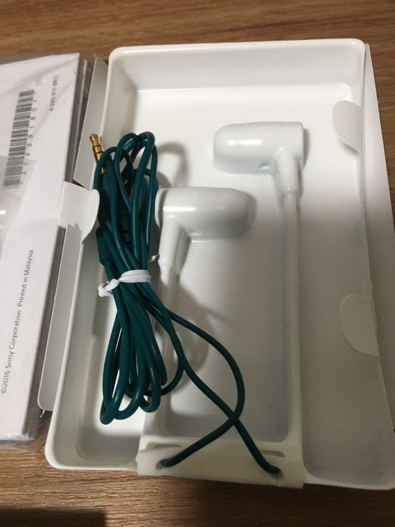 初音ミク10周年記念 初音ミクモデル WALKMAN SONY NW-A35HN