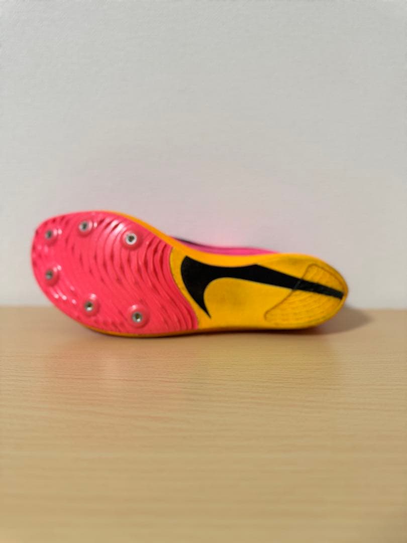 NIKEドラゴンフライ
