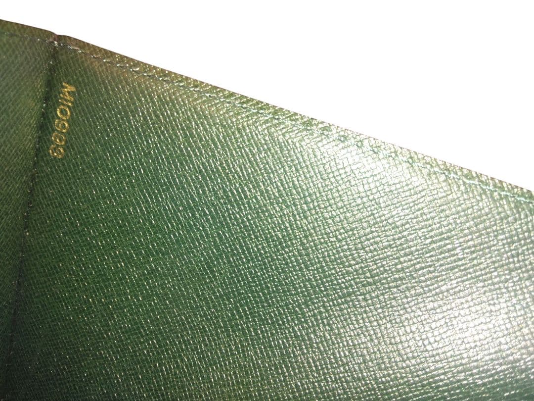 【極美品】ルイヴィトン　タイガエピセアドキュメントケース　ファイルケース　書類