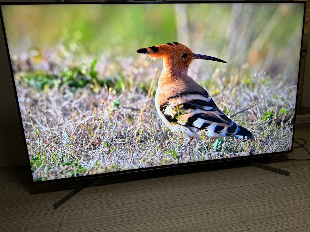 【たのメル便にて発送】65v大型液晶テレビ SONY