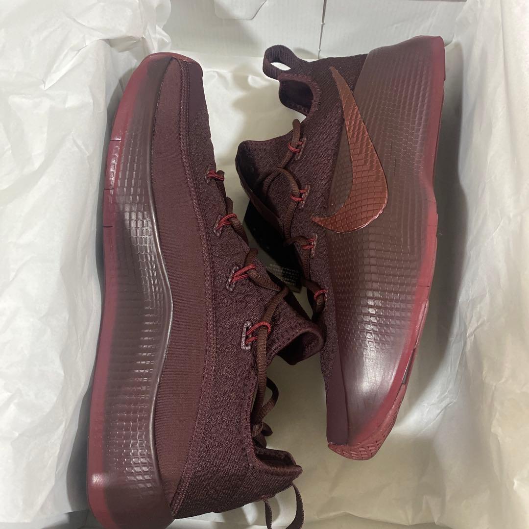 NIKE ナイキ LeBron レブロン TR1