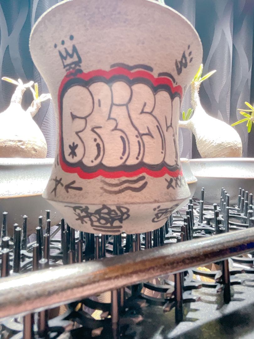 ハイパーポットクリエイター 阿萬 × aobouzu グラフィティー 【鉢のみ】