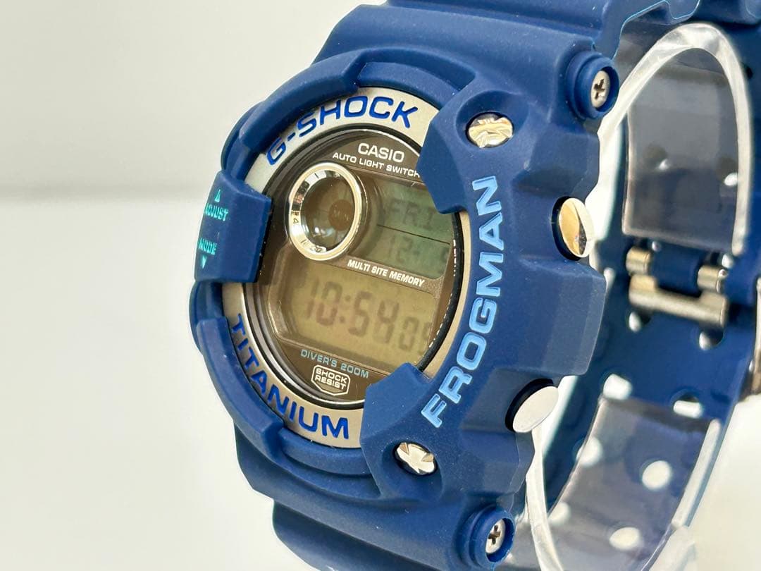 370 稼働 G-SHOCK ビンテージ フロッグマン DW-9902 WCCS