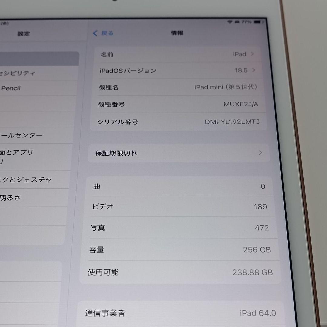(美品)iPad Mini5 第5世代 WiFi Cellular 256GB