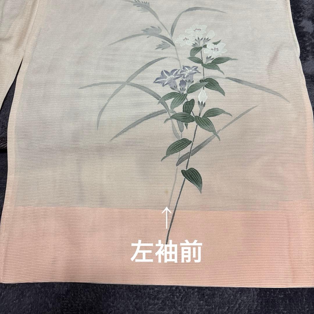 く*ん様 美品　正絹 絽 友禅　訪問着 フルセット ４点 夏帯＋夏帯締め＋夏帯揚