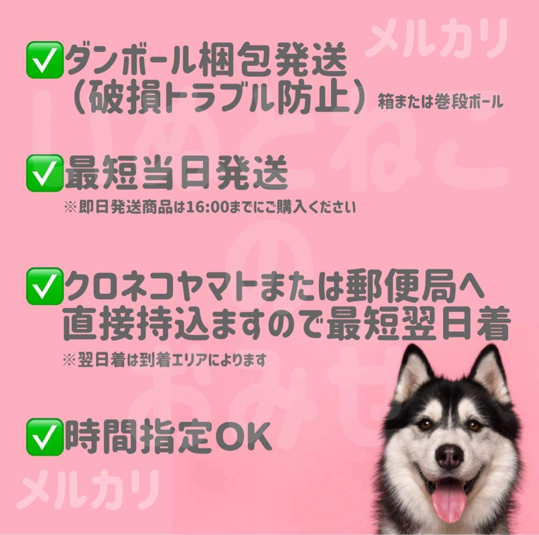 【10kg】セレクトバランス グレインフリー サーモン ドックフード