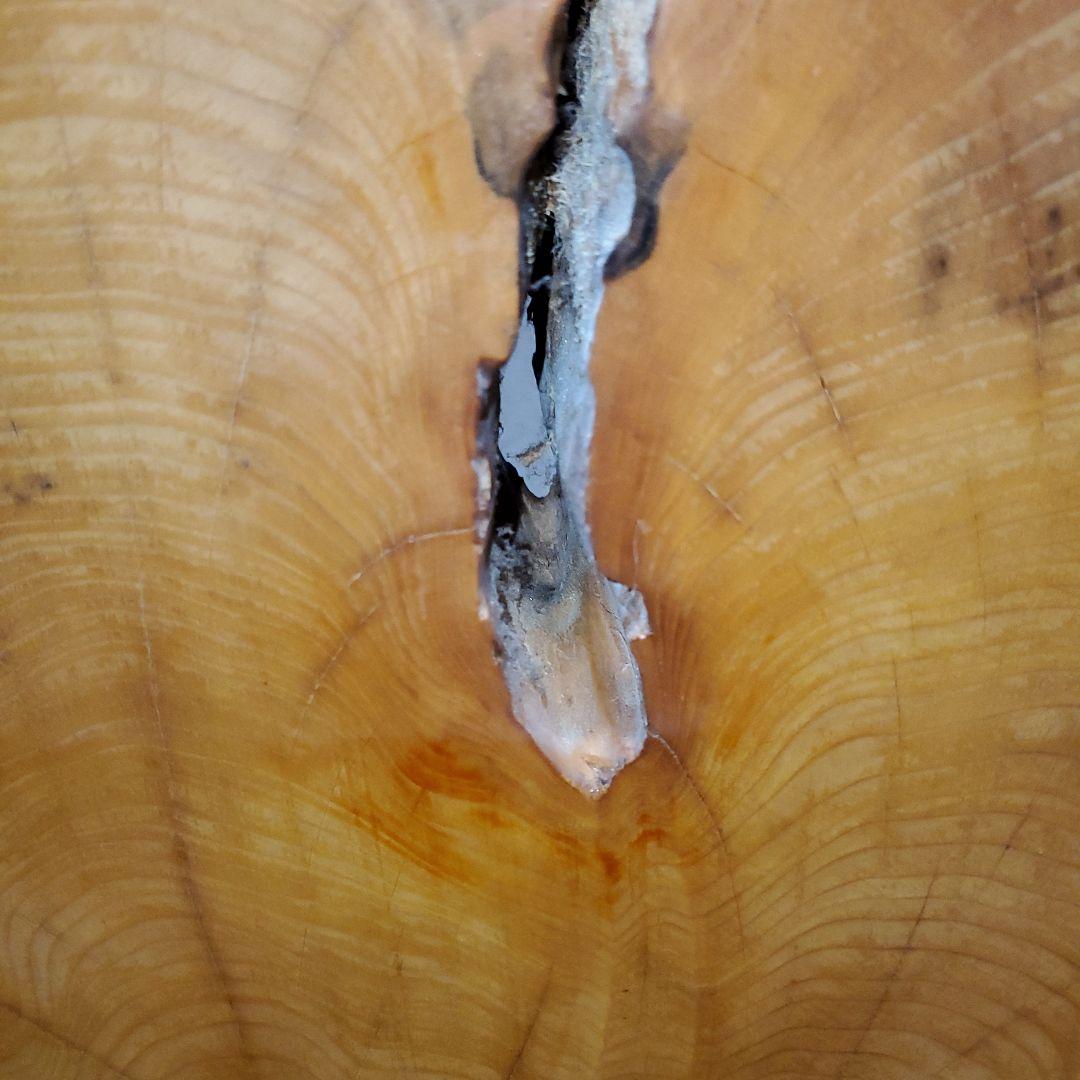 【希少品】榧の木 輪切り 座卓 テーブル ちゃぶ台 年代物【一点物】