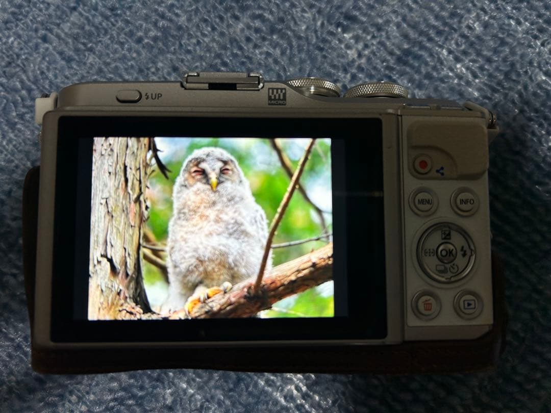 OLYMPUS E-PL9 ホワイト レザーケース・バッテリー×3・プロテクター