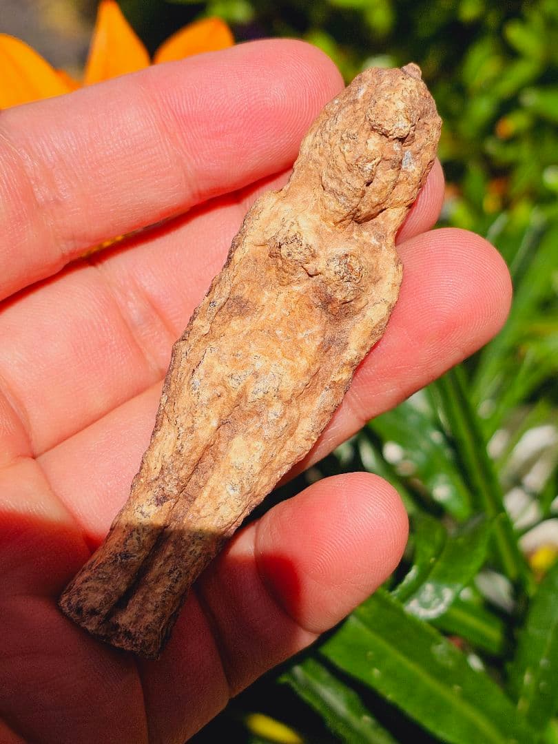 特級呪物✡️ナリーポンとマカリーポンのセット