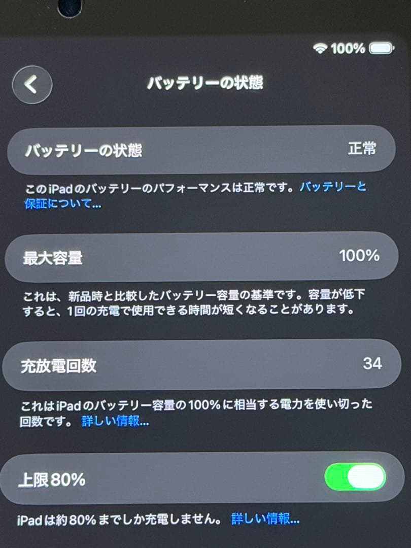 ipad mini(A17pro) 第7世代　256GB パープル