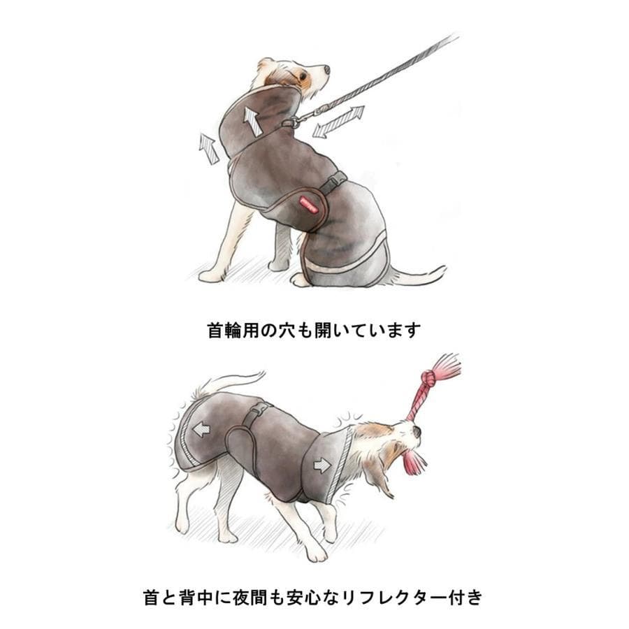 ポムッパ　ペルス　ペトロール　サイズ85