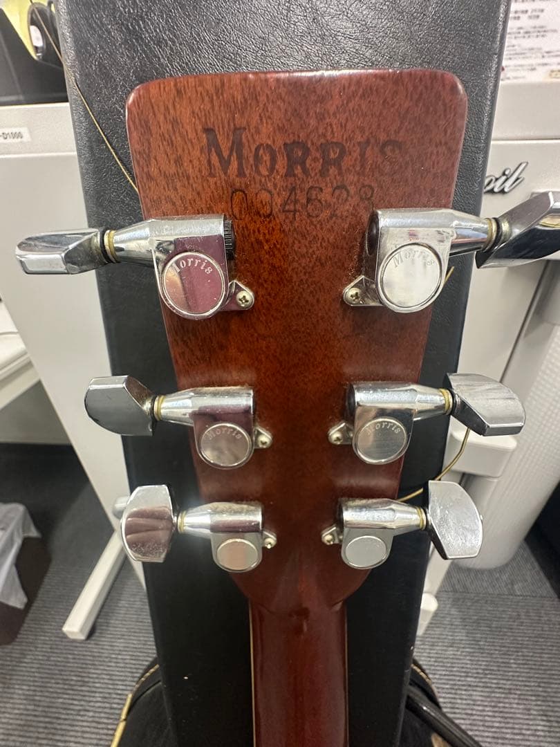 MORRIS アコースティックギター w-60