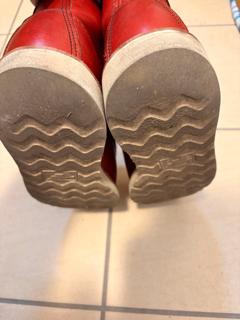 レッドウイング　犬タグ　8875 E 26センチ