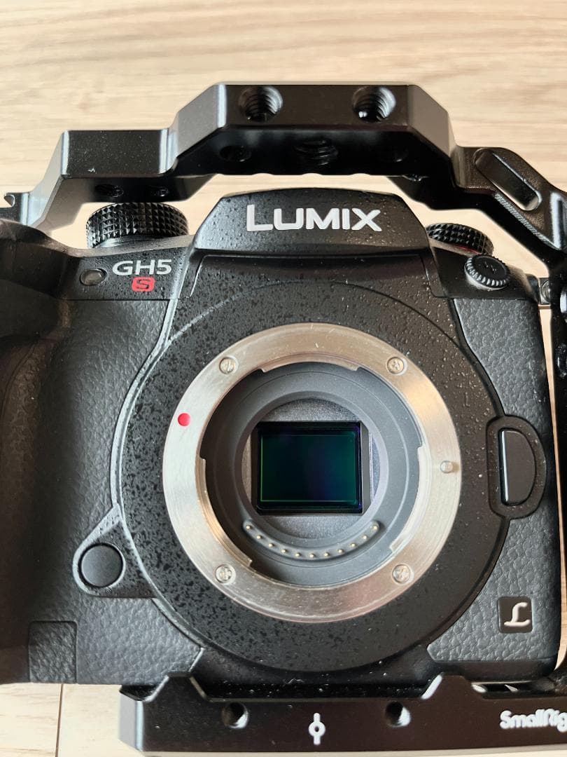 Panasonic DC-GH5S ボディ カメラゲージ・ケース・バッテリー付