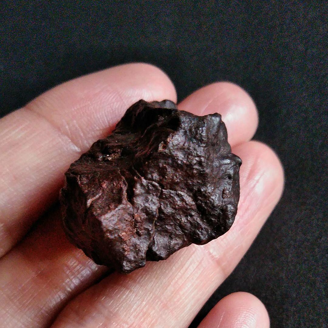 サハラ砂漠　隕石　コンドライト　30mm