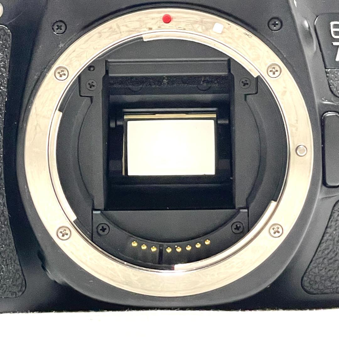 即戦力❣️ Canon EOS 70D ダブルズームレンズセット 遠近OK