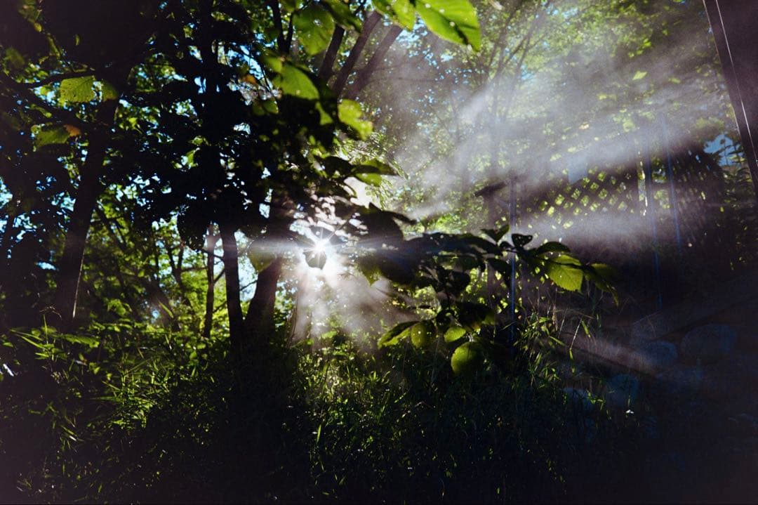 Ernst Leitz Wetar Summar 50mm f2 Mマウント改造