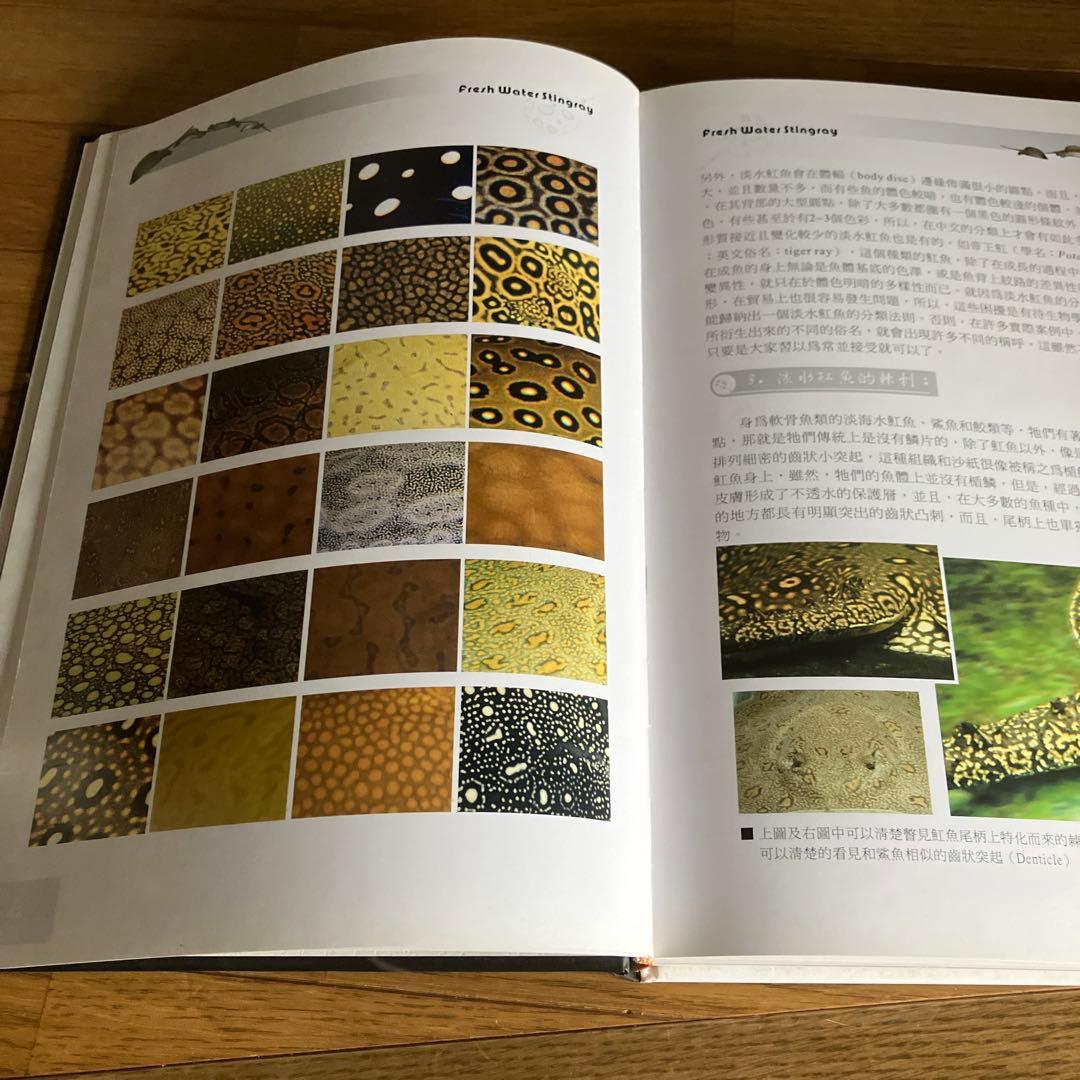 ARRAIA 淡水エイの本