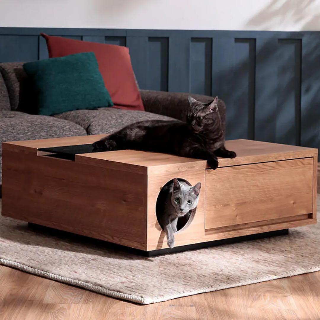 LOWYA 猫 テーブル ロウヤ ローヤ ローテーブル 引き取りも可 2月まで