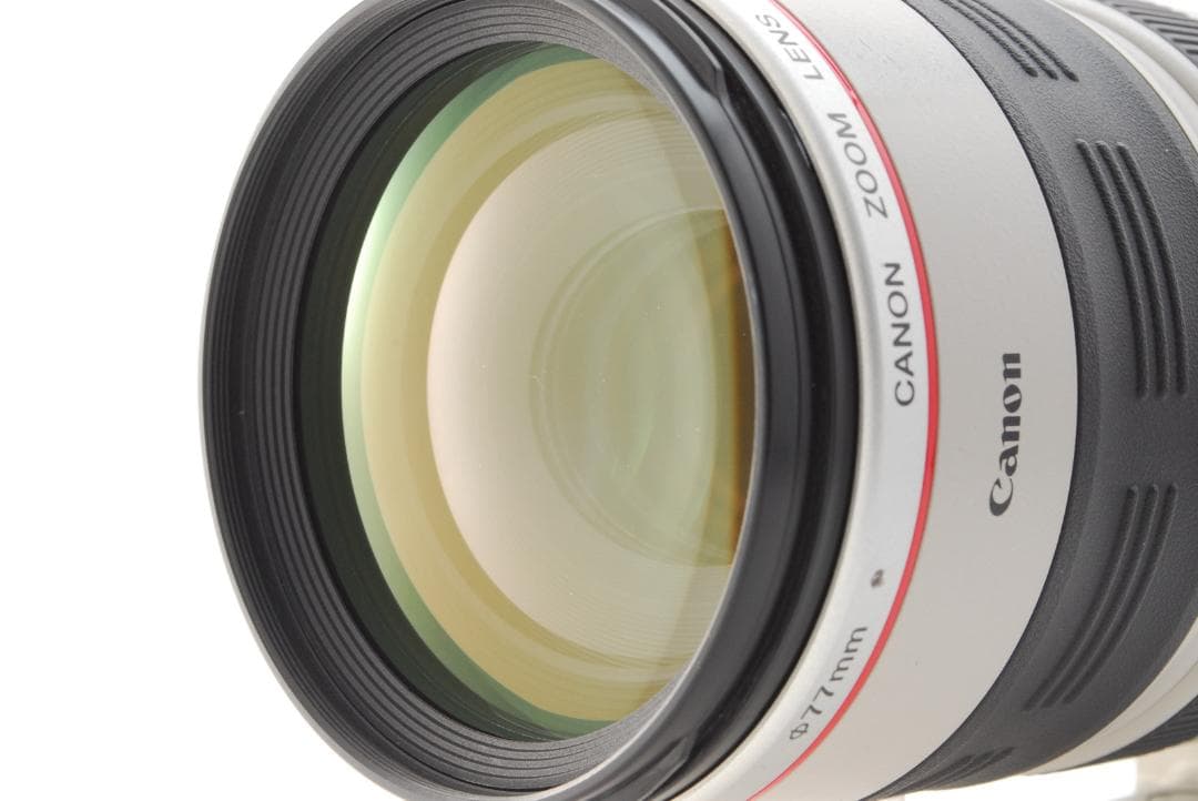 レンズ(ズーム) Canon EF 100-400mm 4.5-5.6 L IS USM #311