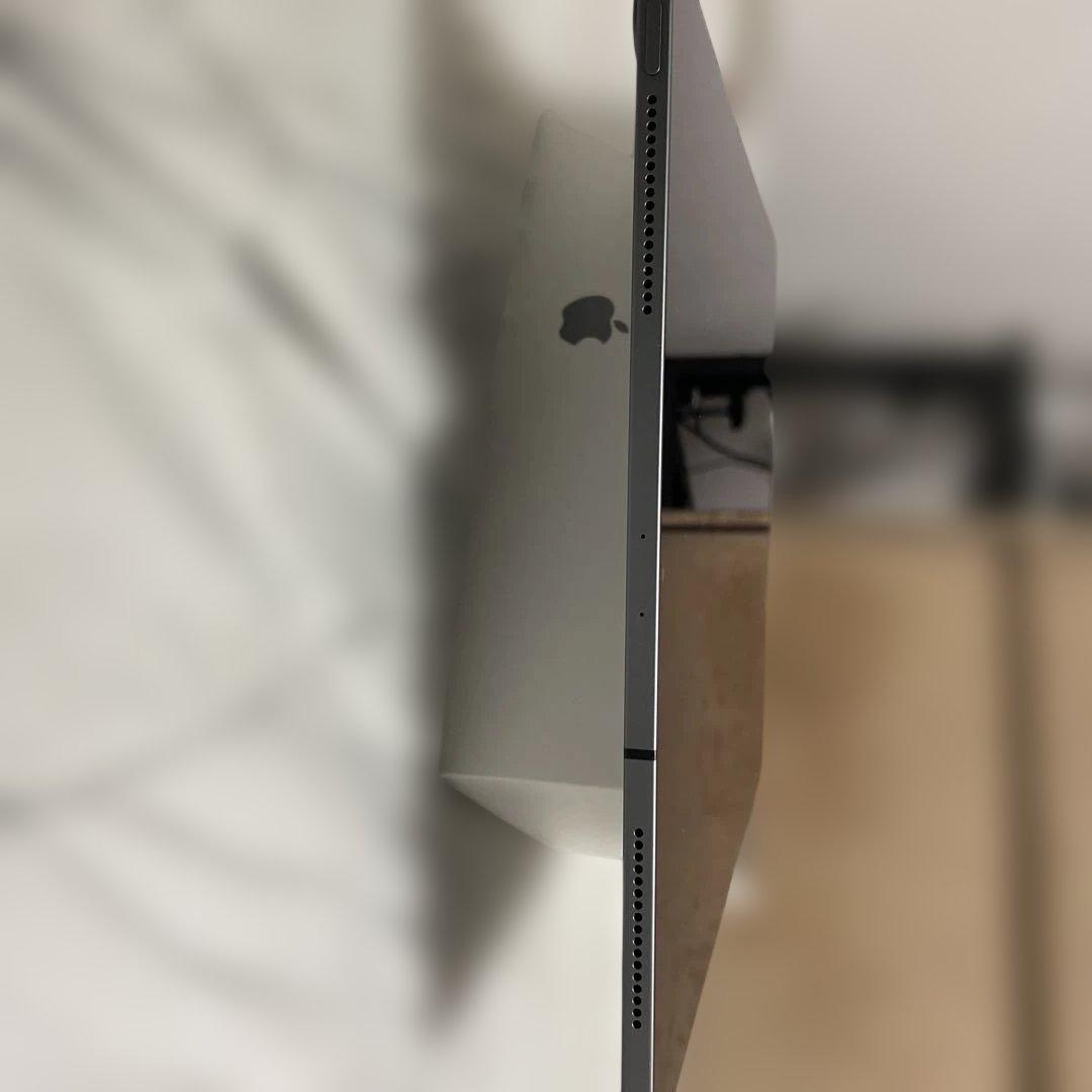 iPad Pro 12.9インチ　第3世代　256GB セルラーモデル