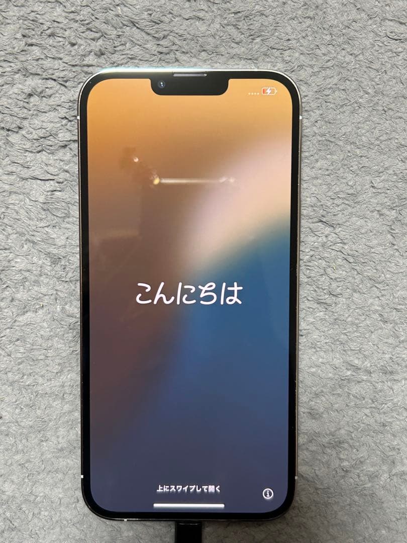 Apple iPhone 13 Pro Maxシルバー 付属品付き