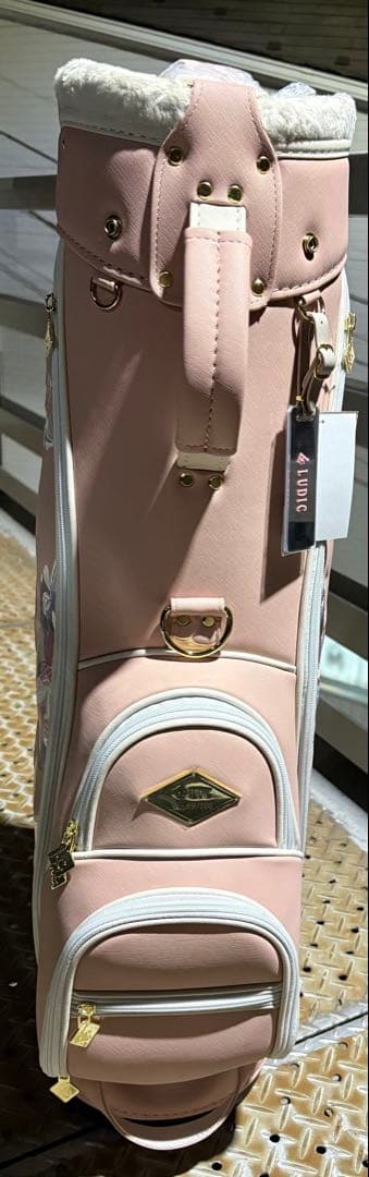 REGOLITH キャディバッグ