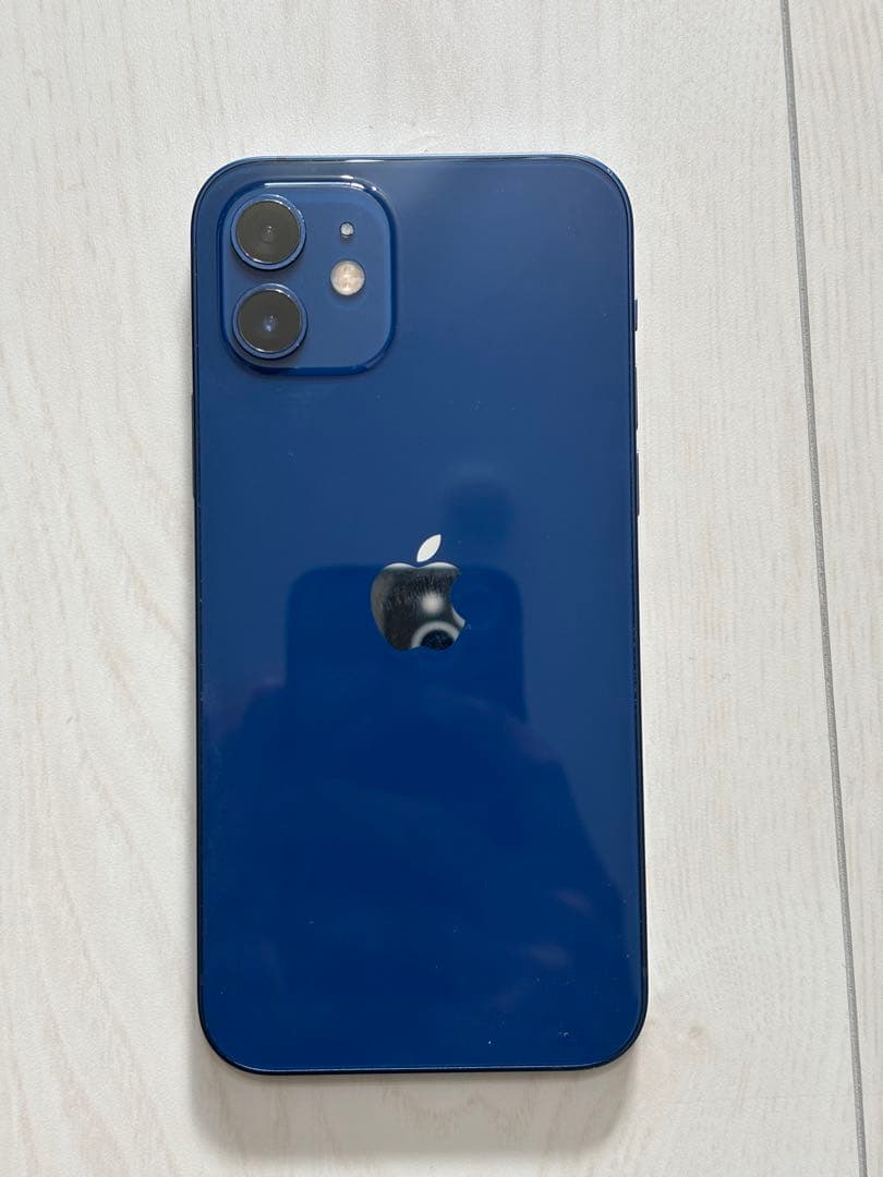 Apple iPhone 12 ブルーBlue 256gb【大容量】