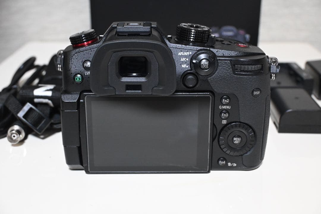Panasonic パナソニック GH5S DC-GH5S 付属品・箱付き
