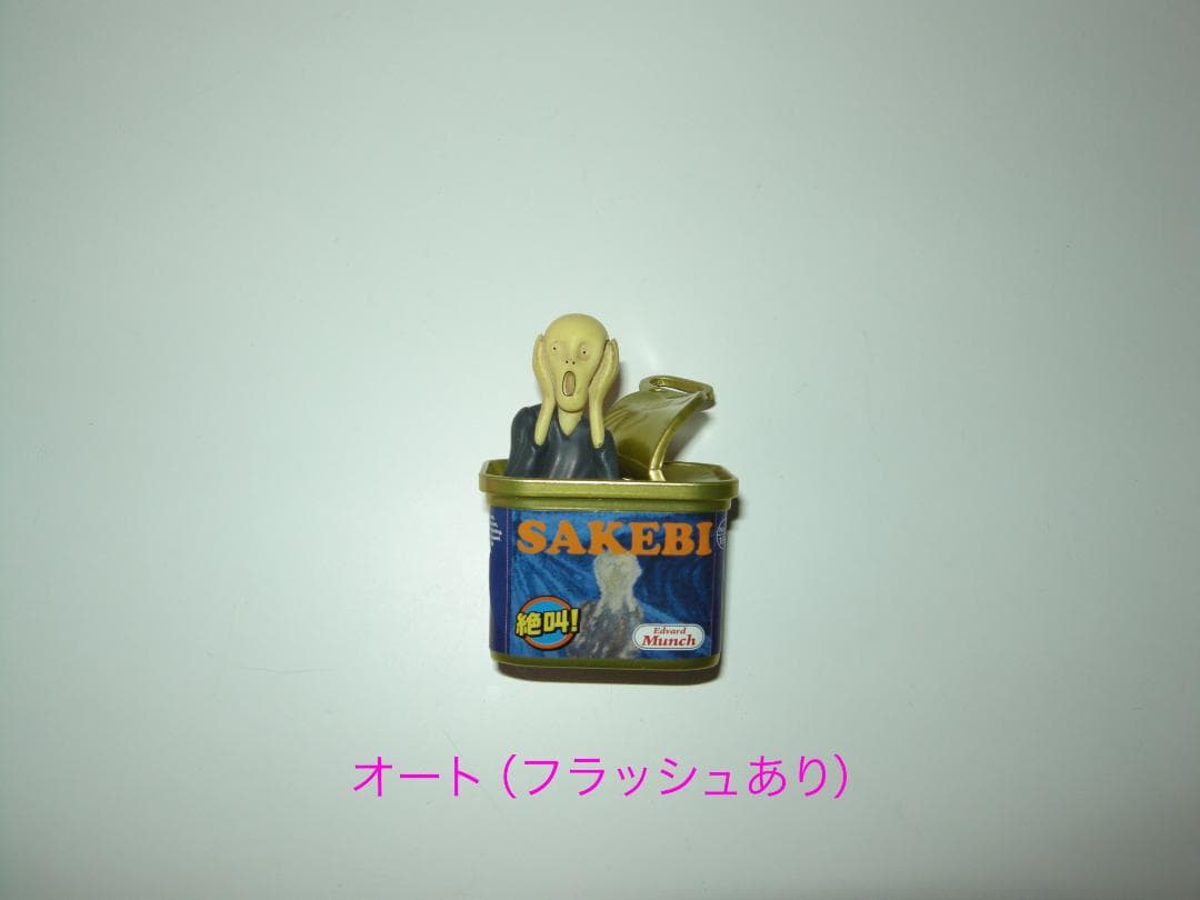 【やや難あり】Nikon COOLPIX P5100 コンデジ デジカメ ニコン