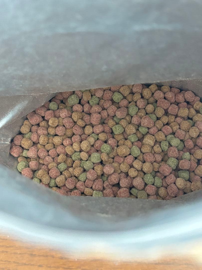 ガラス製飼育ケージと付属品一式