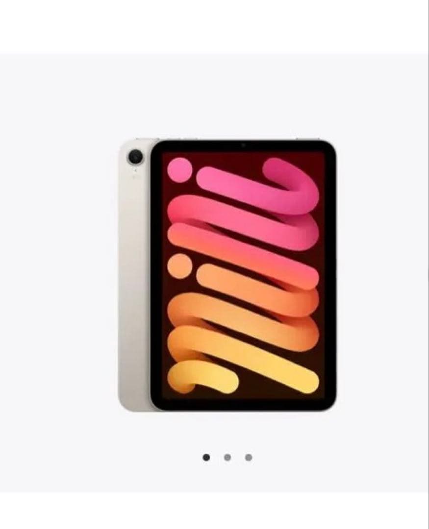 〈新品〉iPad mini Wi-Fi 256GB / スターライト