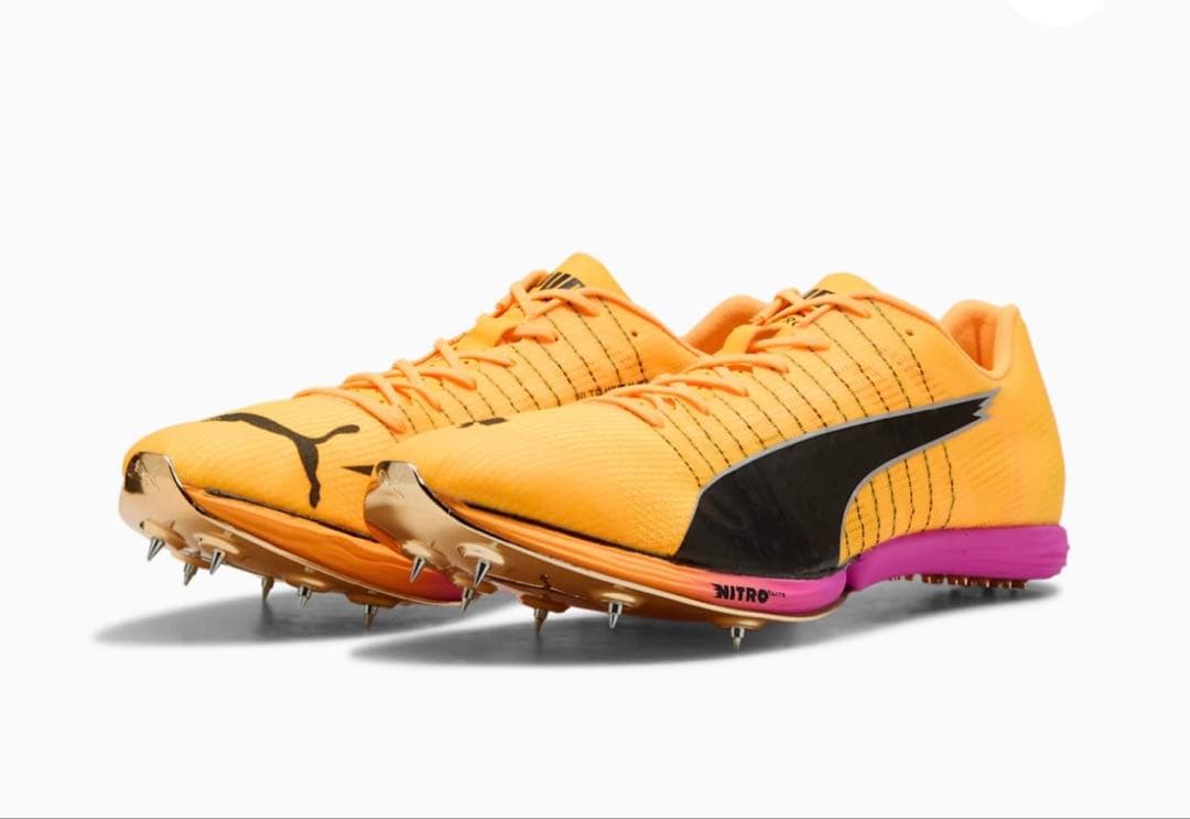 エヴォスピードフォルテニトロエリート evoSpeed Forte Nitro