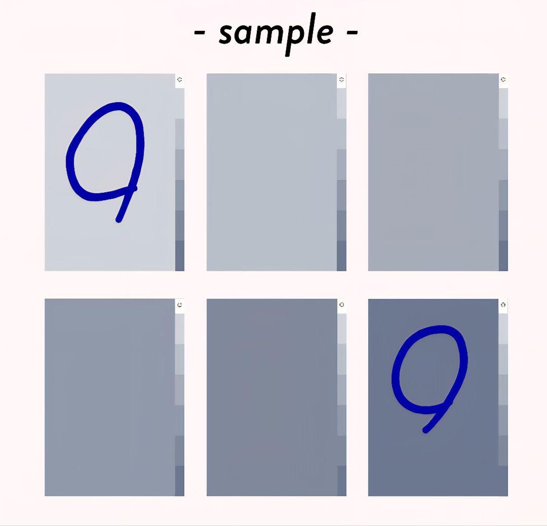 近沢レース◆福袋 2026◆HAPPY BAG◆午年◆新品未開封 抜き取り無し