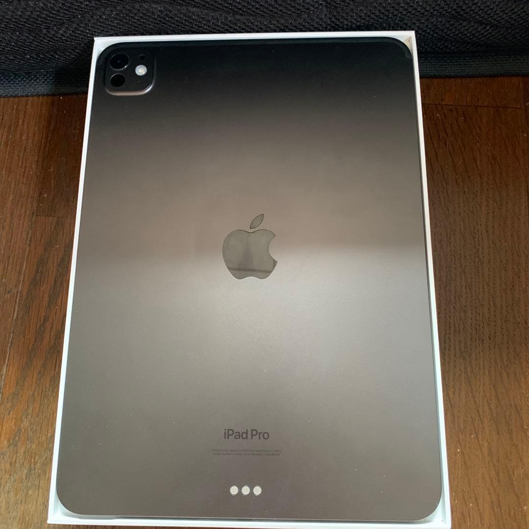 美品iPad Pro11インチ第5世代m4チップ