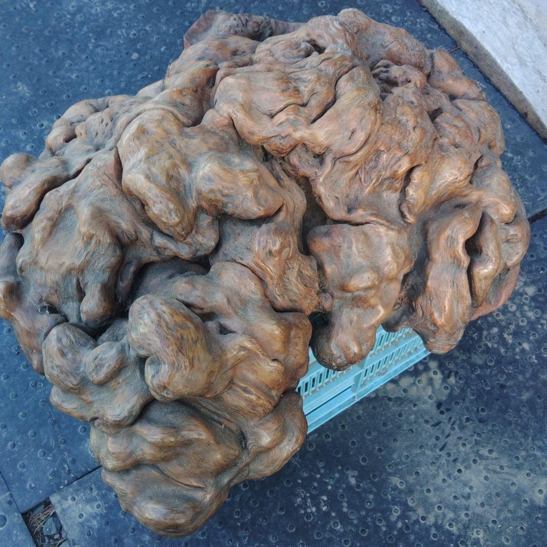 インテリア用加工素材　コブ材