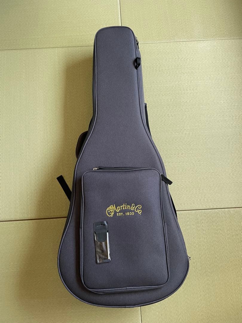 【説明・プロフ必読！】Martin & Co. D-16GT