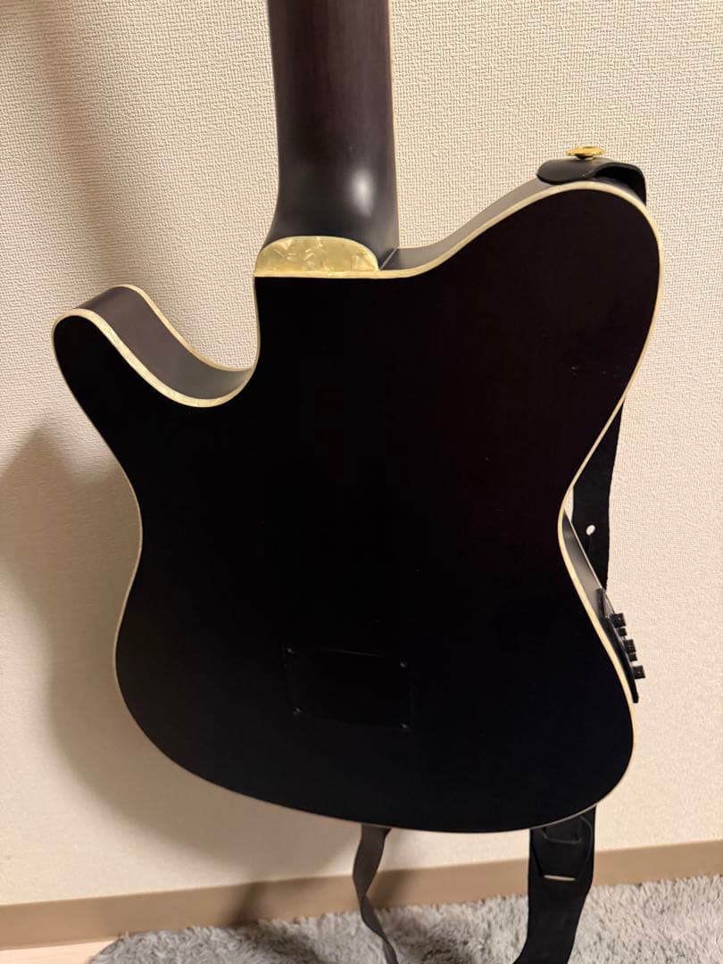 Ibanez TOD10N-TKF Tim Hensonモデル ナイロン弦ギター