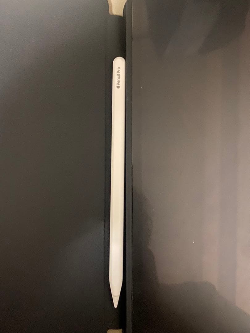 iPad pro M4 256GB WiFiモデル　おまけ付き