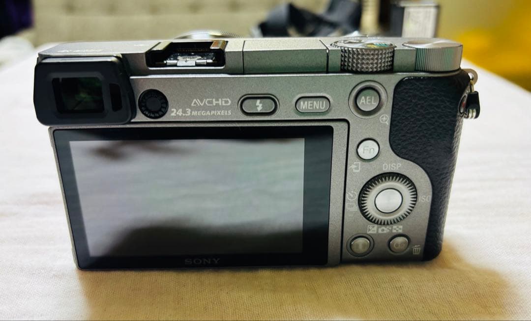 Sony α6000 ミラーレス一眼 16-50mmレンズ