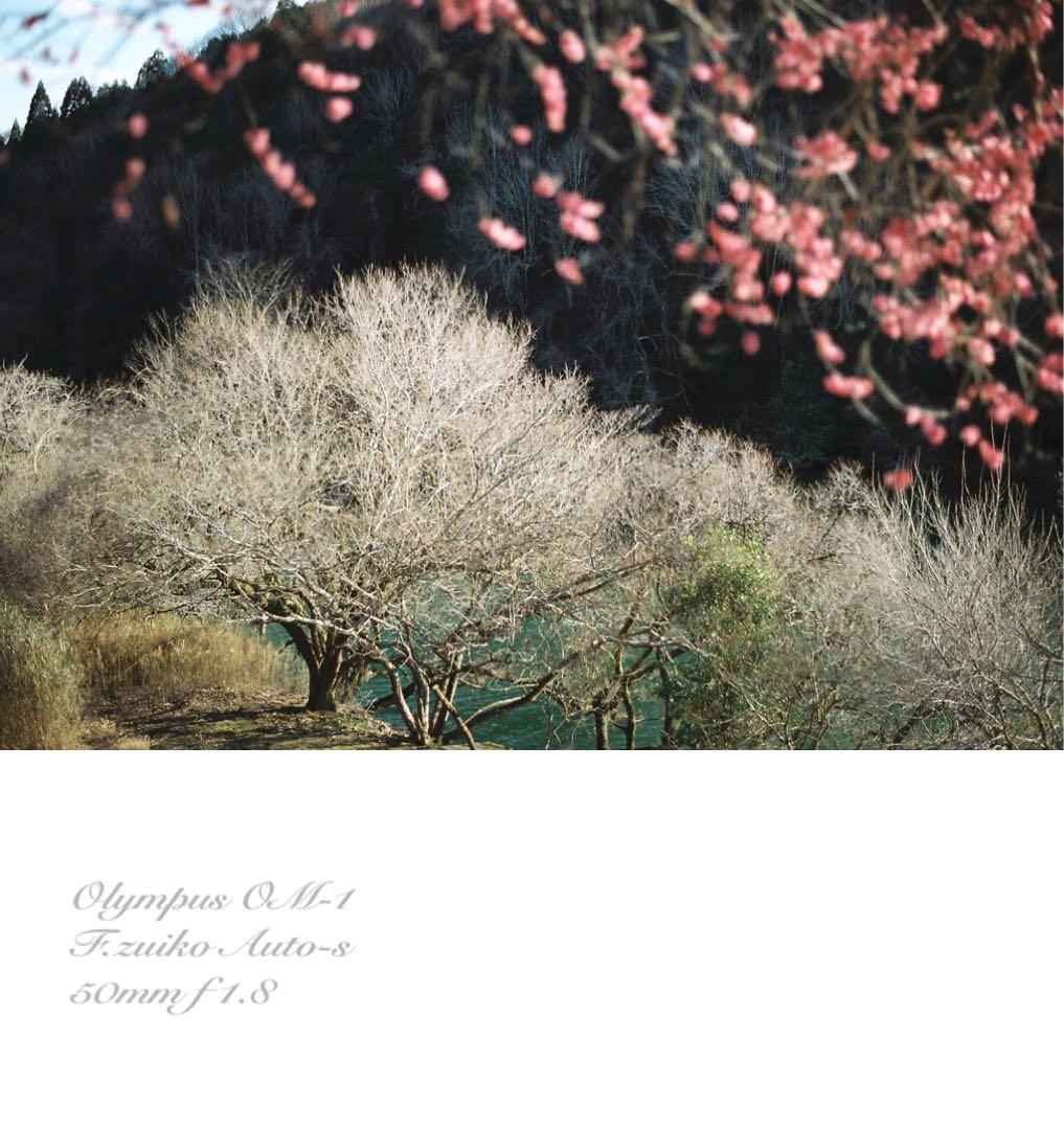 完動品＊美品＊初期保証★OLYMPUS OM-1★リザード本革外装★作例多数！