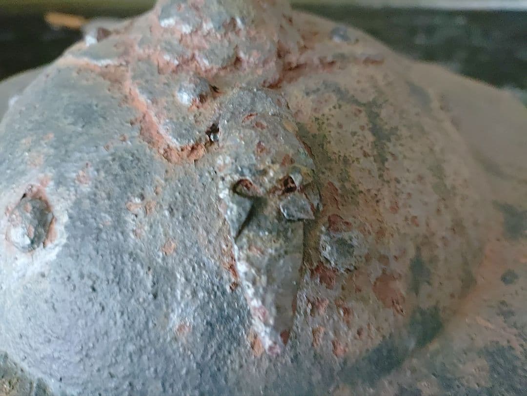 吊り灯籠　蝉つき　　アンティーク　雑貨　骨董　吊灯籠　灯り　照明　庭　インテリア