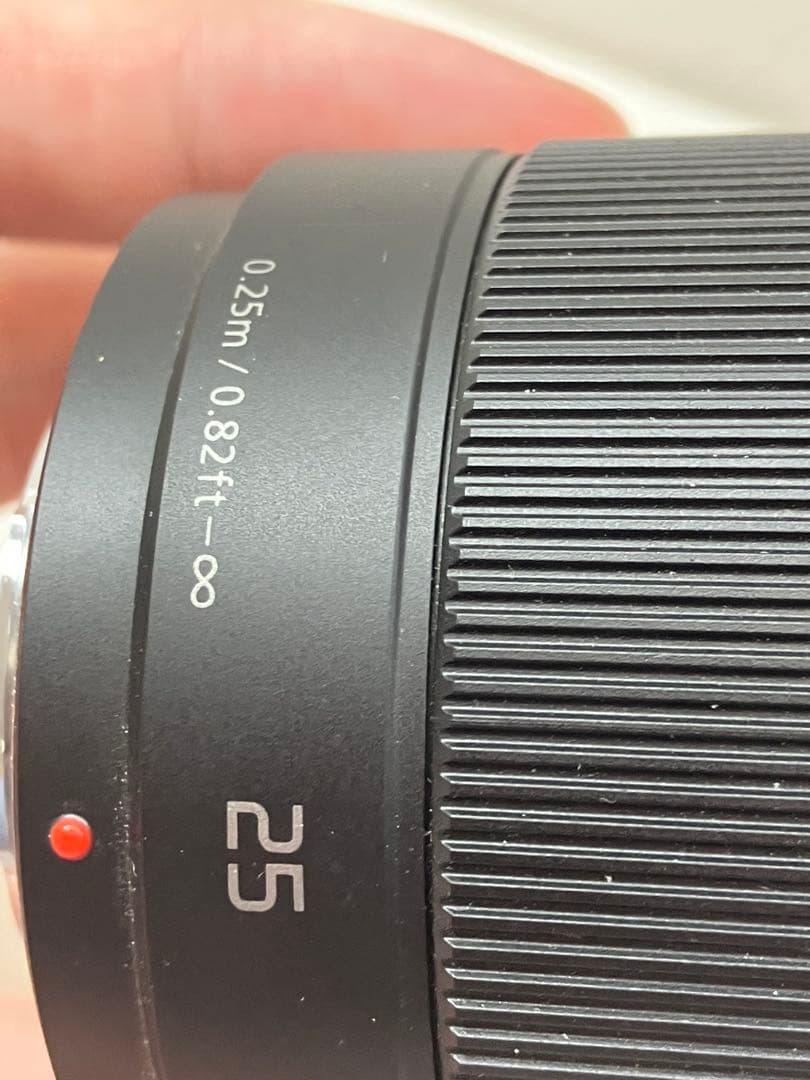 パナソニック　ルミックス　DMC-GM1 一眼レフ　レンズ　H-H025【①】