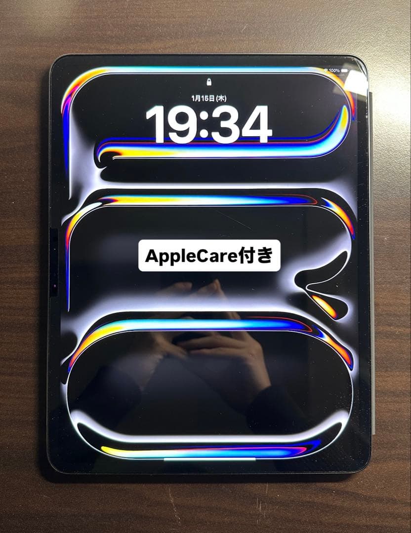 13インチiPadPro (M4)Wi-Fi 256GB Applecare+付