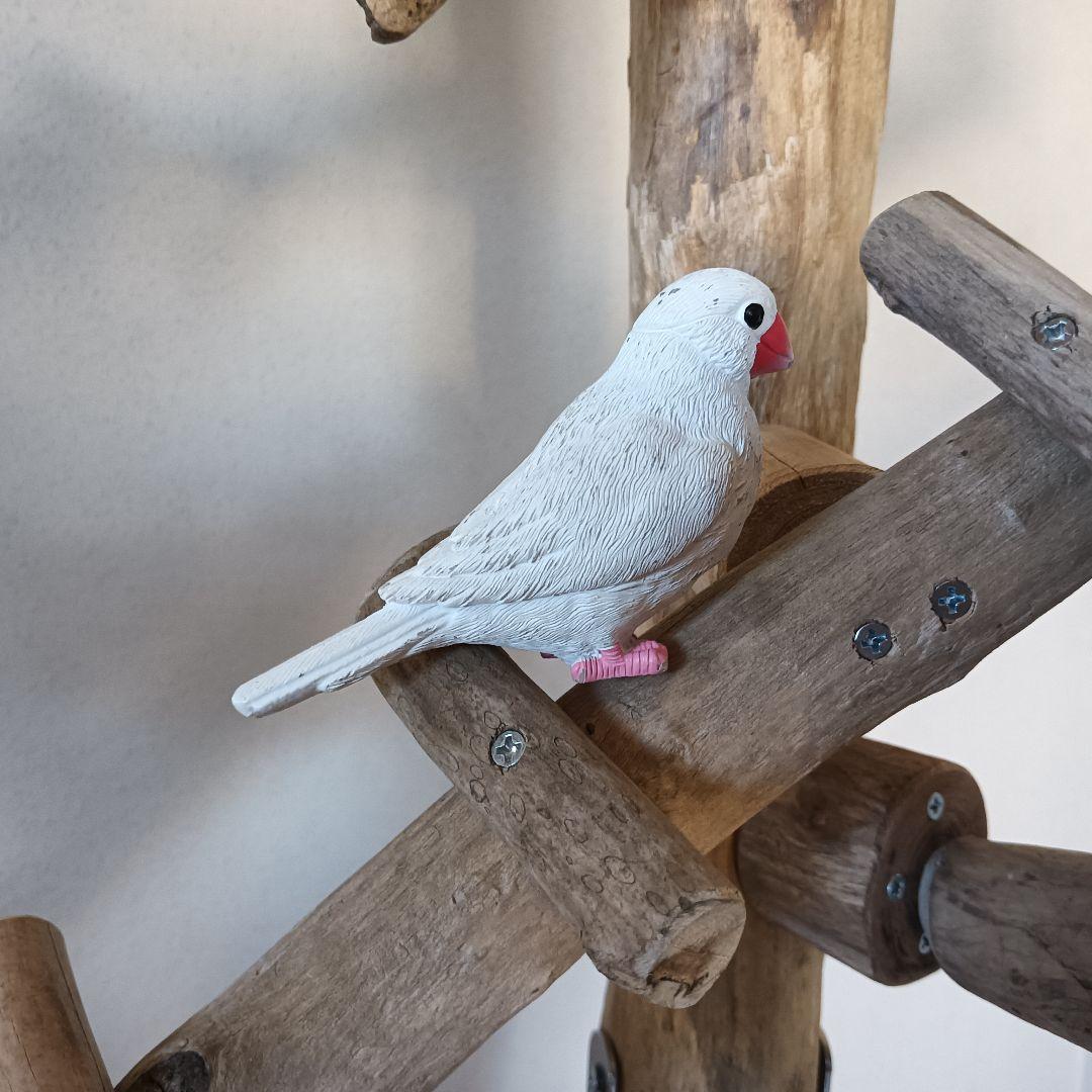 tarusiru バードアスレチックジム大型 天然木 自然木 流木 インコ