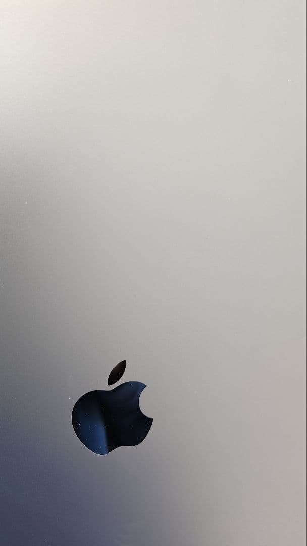 iPad Pro (第1世代) 12.9インチ 256GB wifi+キーボード